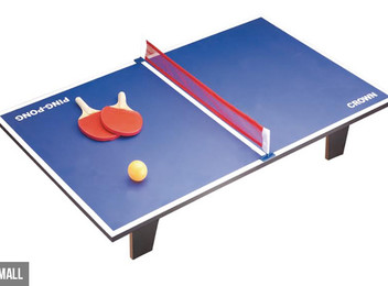 Premium Table Tennis Table.