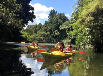 Three-Hour Glow Worm Kayak Trip