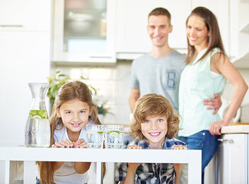 Wholehouse Water Purifier