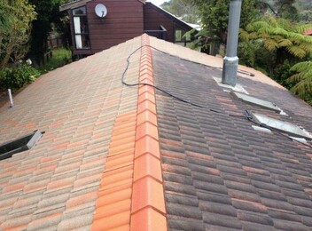 Moss, Mould & Lichen Roof Treatment