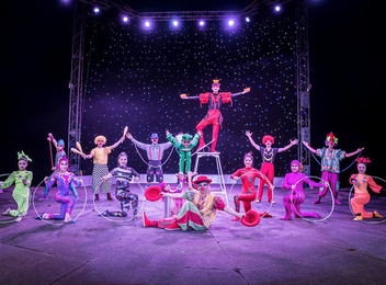 Admission to Zirka Circus