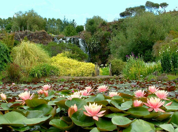 Watergarden Entry for Adult & Child