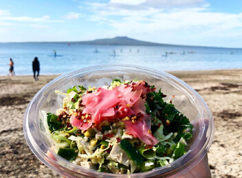 Regular Hawaiian Yeah Bowl Poke