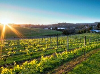 Waiheke Wine Tour & Fishing Charter