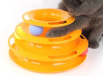 Pet Play Toy Set