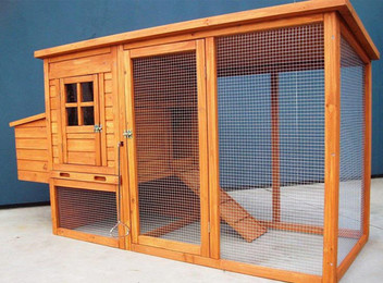 Wood and Mesh Chicken Coop