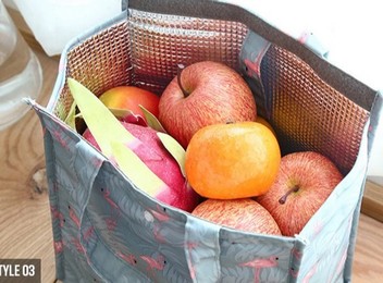 Insulated Reusable Lunch Bag