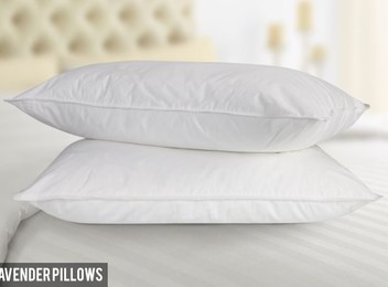 James & Joseph Two-Pack of Pillows