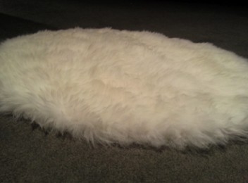 Sheepskin Pet Mat