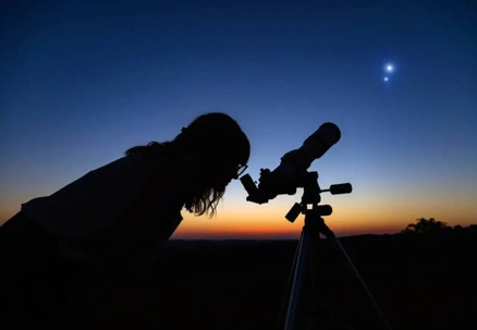 Night-time Wonders Kiwi Spotting and Stargazing Tour at Tawharanui