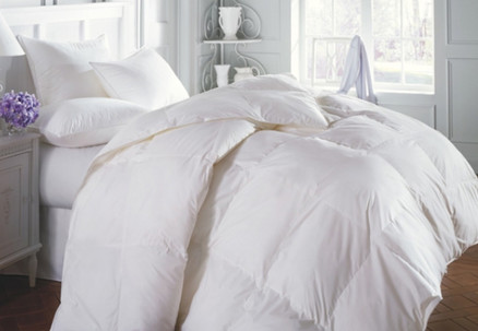 Winter Weight 80% Down Queen Duvet