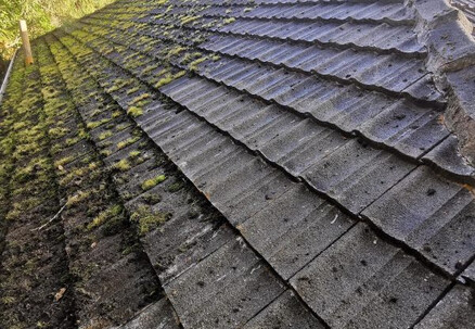 Roof Soft Wash Cleaning, Roof Moss & Mould Treatment - Options for Small, Medium, Large or Extra Large Homes & Single or Multi-Storey Homes