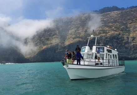 Two & Half-Hour Akaroa Scenic Coastal Cruise Adult Pass - Options for Child or Family Pass - Valid from 1st November 2024