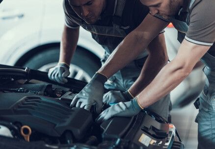 Car Service Package incl. Oil, Filters & Brake Check - Option for a WOF Inspection
