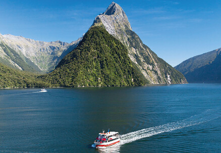Three-Hour Milford Sound 'Discover More' Cruise with Underwater Observatory Experience incl. Picnic Lunch - Options for up to Four People