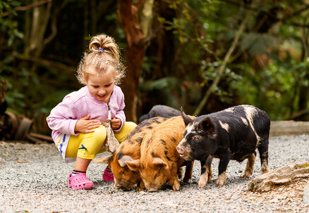 Adult Admission to Staglands Wildlife Reserve - Open Seven Days