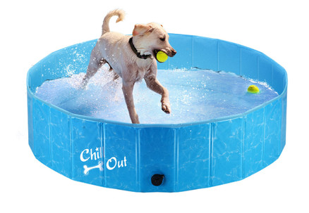 Foldable Dog Swimming Paddling Pool - Three Sizes Available