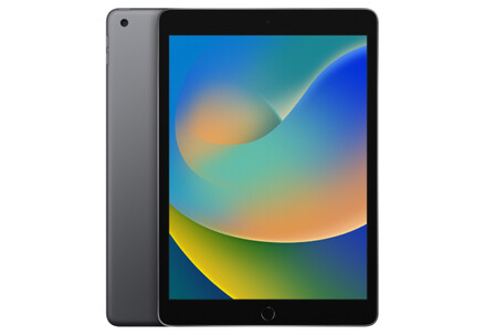 Apple iPad 9th Gen WiFi 10.2" 256GB Wifi Space Grey Refurbished