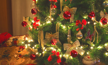 six foot christmas tree grabone six foot christmas tree grabone