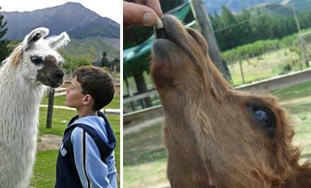 Coupons for hanmer springs