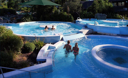 Coupons for hamner springs
