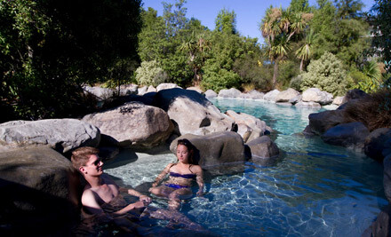 Coupons for hamner springs