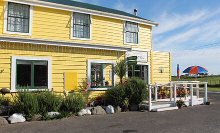 Grabone deals taranaki