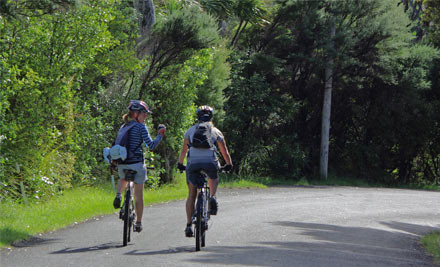 Great Barrier Island Return Ferry Trip - GrabOne