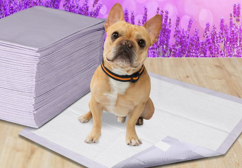 PaWz Pet Super Absorbent Potty Pee Mat - Three Options Available