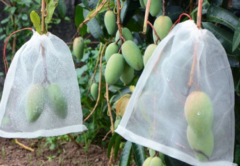 Garden Protection Nets - Four Sizes Available - Option for 10 or 20 Pieces