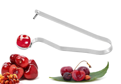 Stainless Steel Fruit Remover Pitter Tool