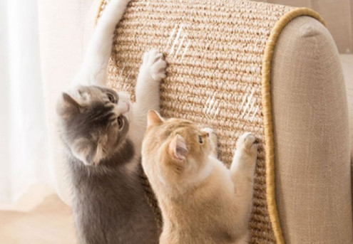 Cat Scratch Guard Sofa Protector