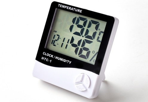 Thermometer Alarm Clock