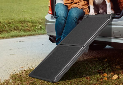 PaWz 50kg Portable Dog Ramp Stairs