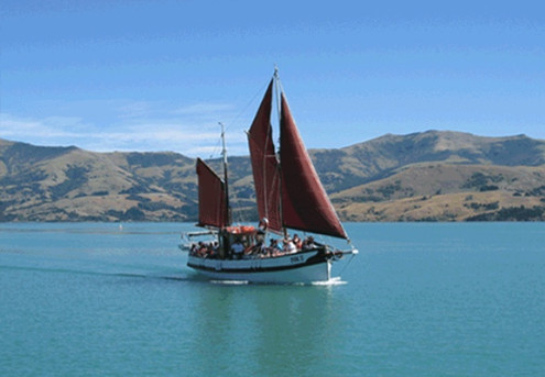 Sail with Dolphins in the Crater of an Extinct Volcano for One Adult - Option for Child