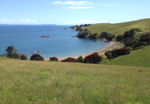 Explore Motutapu Island - Options for Adult with Child & Additional Children - Take the Kids for Free