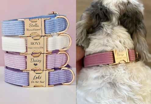 Personalised Pet Collar Leash Set