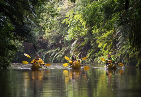 Three-Hour Guided Day Time Canyon Kayak Tour for One Person - Options for Two or Four People or Eight-Hour Day Triventure Tour