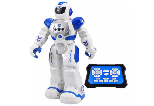 Kids Smart RC Robot Toy