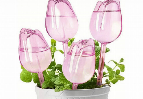 Four-Piece Tulip Model Plant Watering Globes