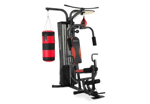 110Lbs Multifunction Home Gym