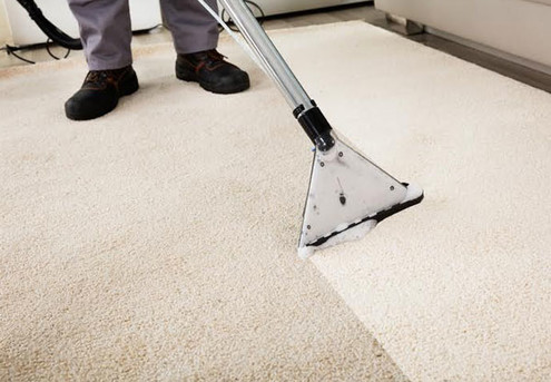 Expert Carpet Clean incl. Odour Treatment for Two-Bedroom, Single-Storey House incl. Living, Lounge & Hallway - Options for up to Five Bedrooms