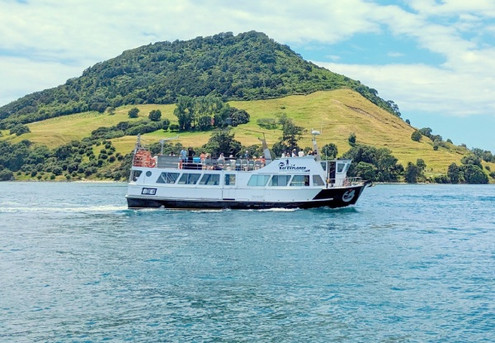 Three-Hour Afternoon Tauranga Scenic Harbour Cruise for One Adult - Option for Youth & Infant - Valid from 3rd of December