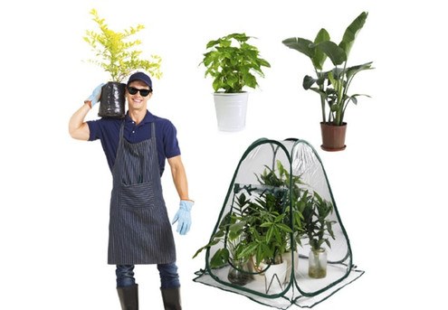 Pop-Up Greenhouse Plant Cover - Option for Two-Pack