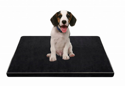 Memory Foam A5 Pet Bed - Two Sizes Available