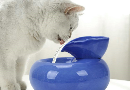 Pet Drinking Water Fountain