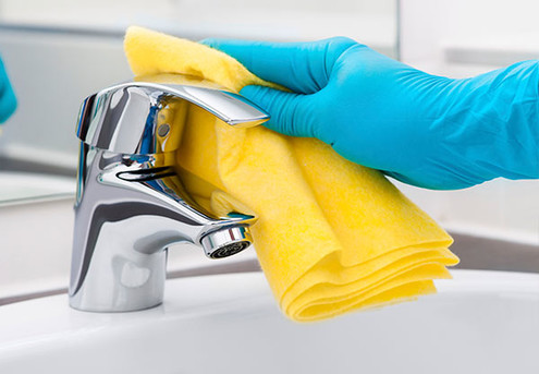 Professional Cleaners Auckland