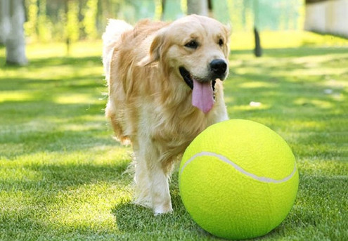 Inflatable Giant Tennis Ball Toy for Pets