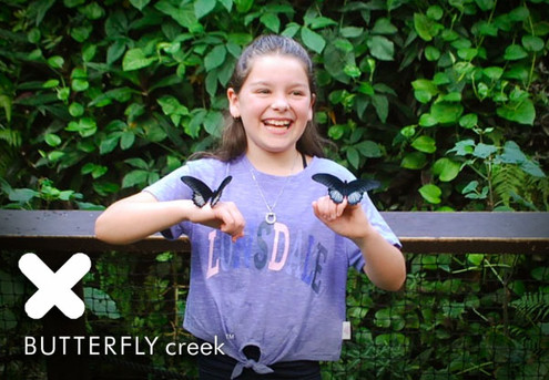 One Adult Day Pass to Butterfly Creek - Options for Child Day Pass