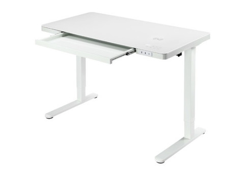 Adjustable Electric Desk with Wireless Charger